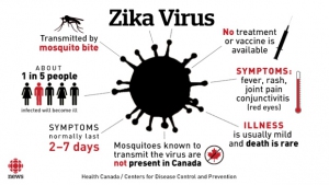 Các phương pháp và biện pháp phòng tránh nhiễm virus Zika
